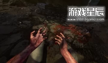 switch游戏《失忆症合集 Amnesia Collection》中文汉化版下载【含1.1补丁+汉化补丁】