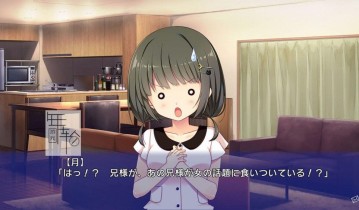 switch游戏《恋爱借给我吧 恋愛、借りちゃいました》日文版nsp/xci下载