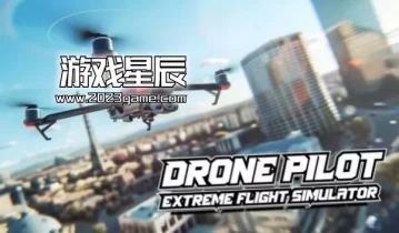 switch游戏《无人机在线飞行模拟器/Drone Flight Simulator》中文版nsz下载