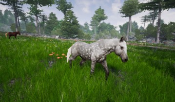 骑马豪华版2 Horse Riding Deluxe 2 单机游戏英文版下载