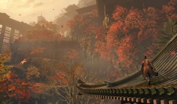 PC游戏《只狼：影逝二度 Sekiro: Shadows Die Twice》中文版下载 v1.06